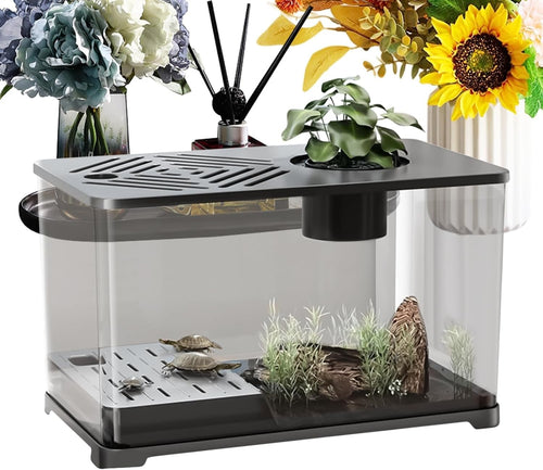 Large Desktop Aquarium for Betta, Turtle Sunbathing & Shrimp Tank