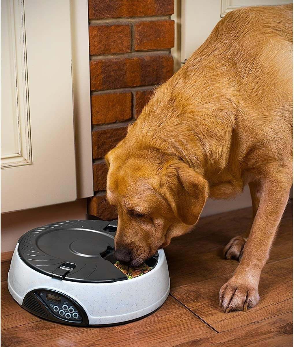 Automatic Pet Feeder 6 Meal Programmable Food Dispenser Voice Recorder