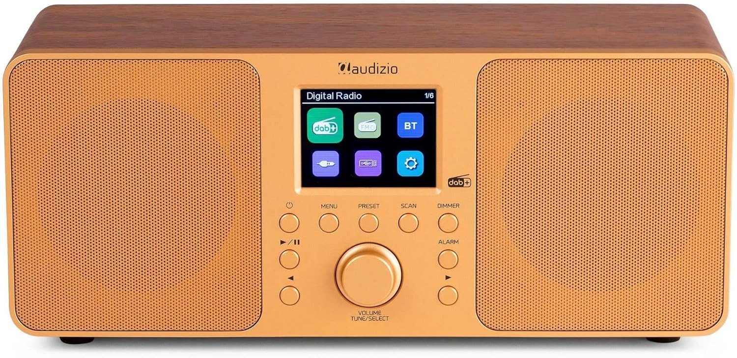 DAB+ Stereo Digital Radio Bluetooth USB AUX Dual Alarm Colour Display Copper
