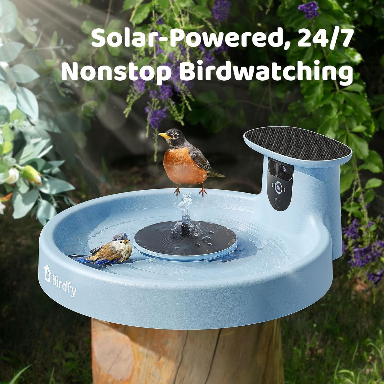 Smart Solar Bird Bath with Camera Dual Lens Auto Video Bird Feeder Fountain