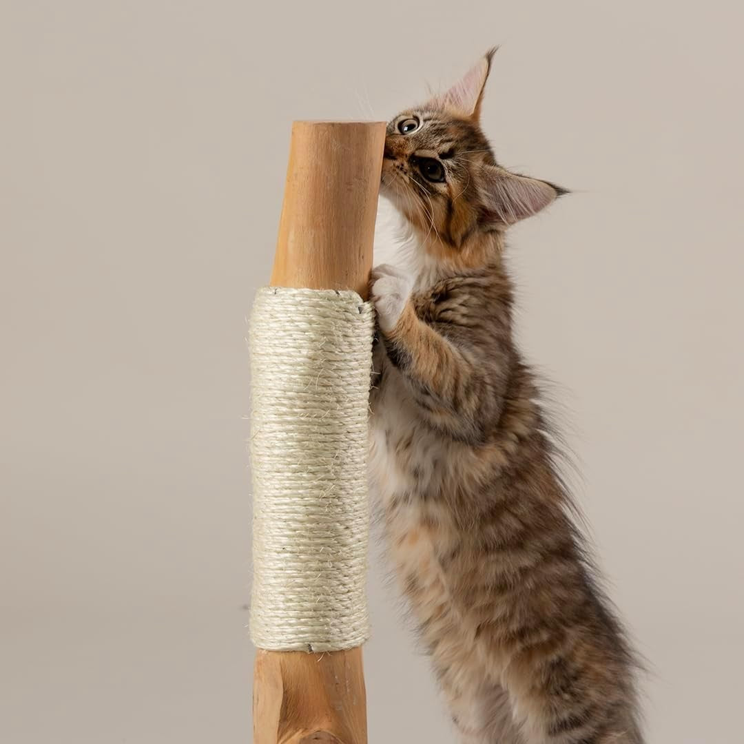 Kitten Cat Scratching Post Tree Compact Sisal Scratch Toy Indoor Small Cats
