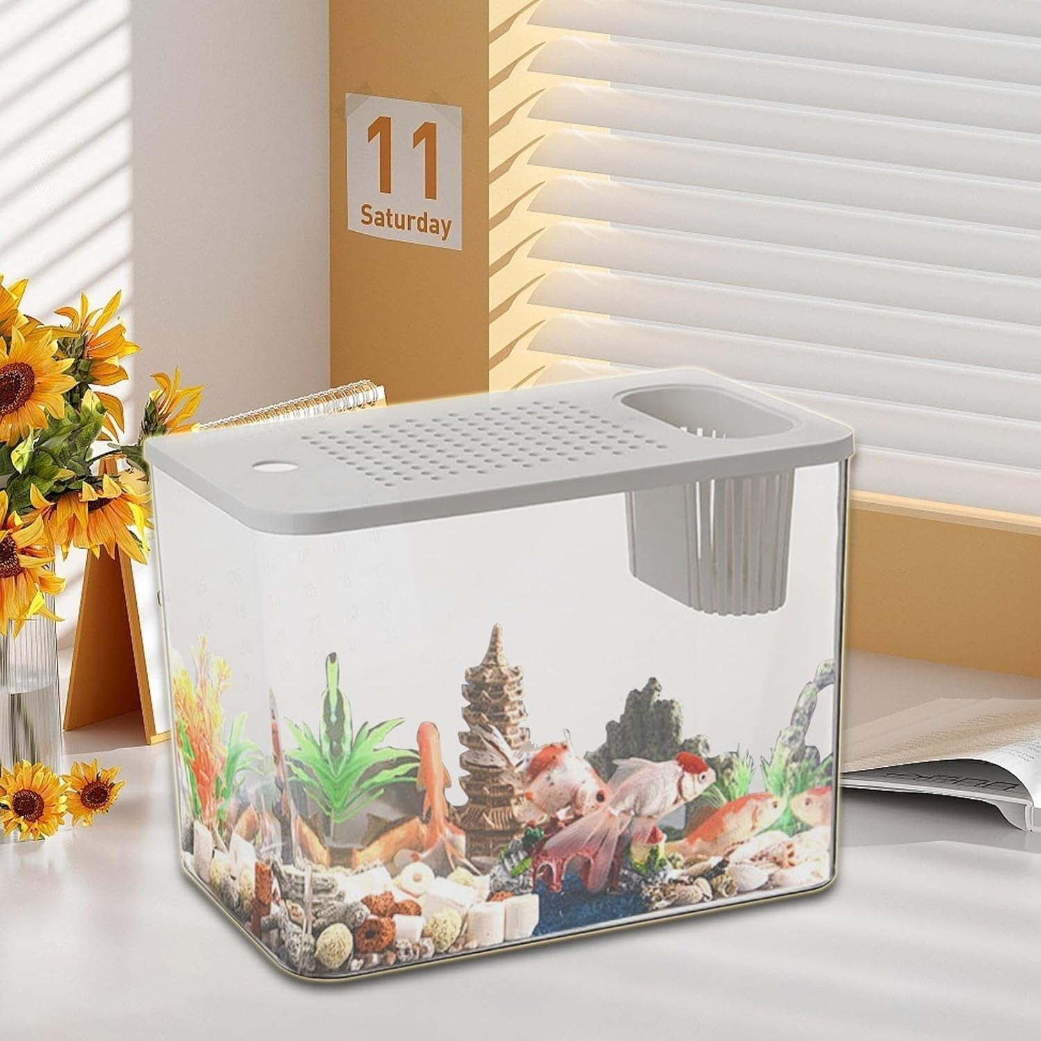 Desktop Aquarium Starter Kit | Small Turtle & Goldfish Tank for Home