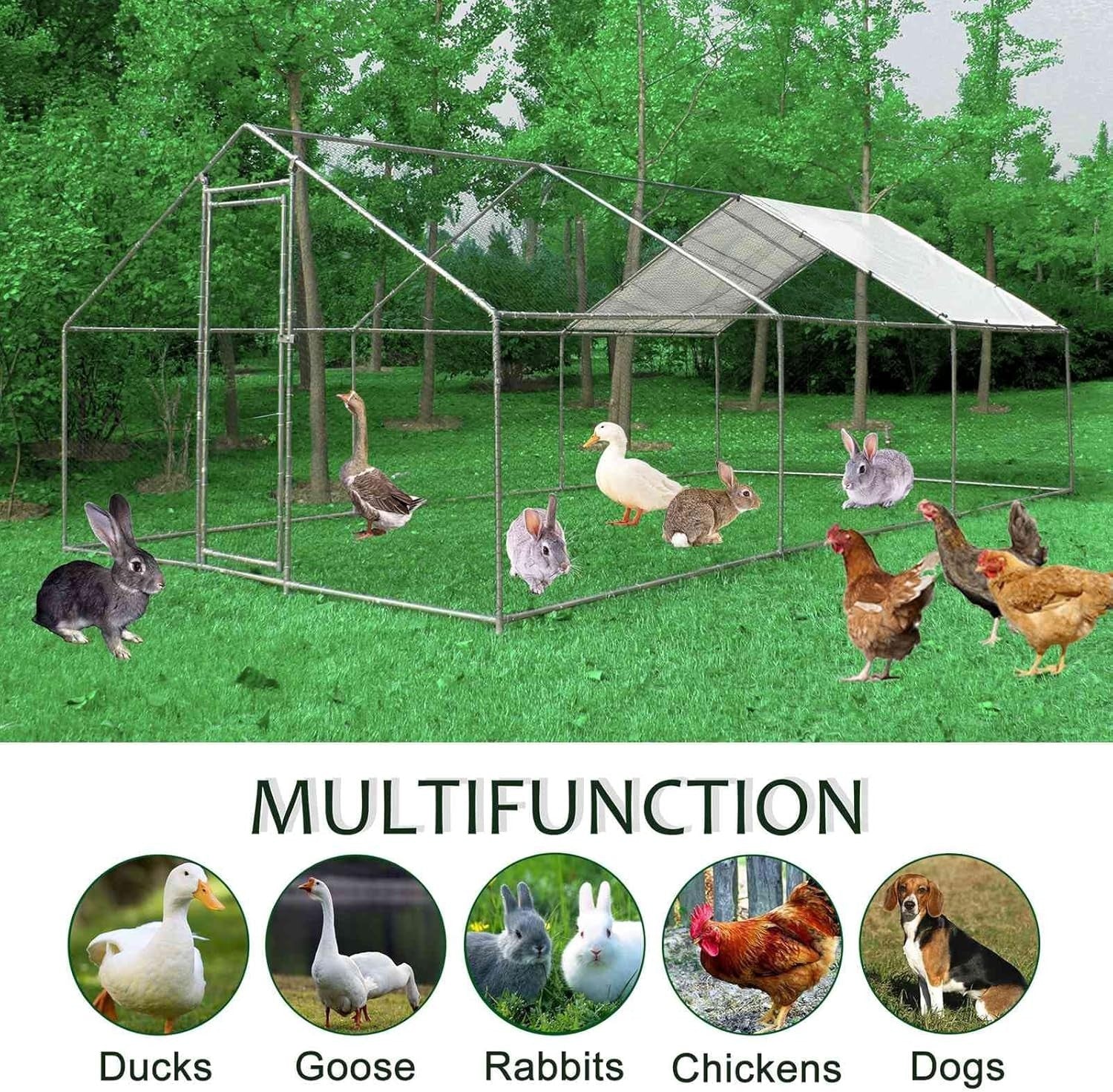 Extra Long Walk In Chicken Run Outdoor Metal Pet Enclosure 3x6x2m