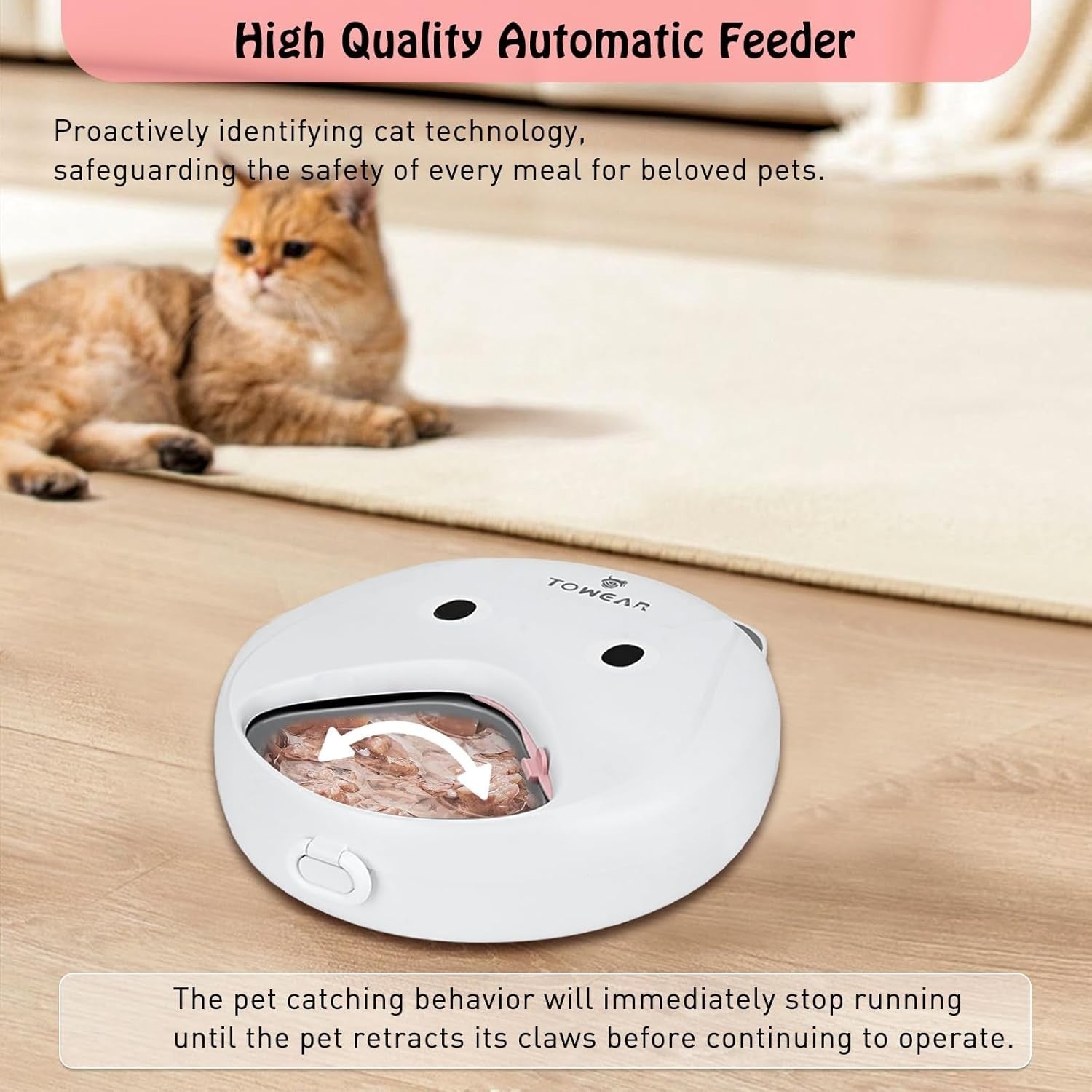 Automatic Pet Feeder Timer 4 Meal Wet Dry Food Dispenser Ice Packs