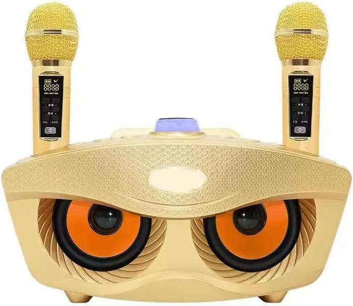 Omana Portable Karaoke Machine 30W Wireless Bluetooth Dual Mic Party Speaker