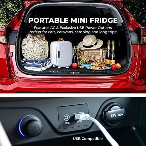 6L Mini Fridge Cooler USB & AC Portable for Bedroom Office Car Grey