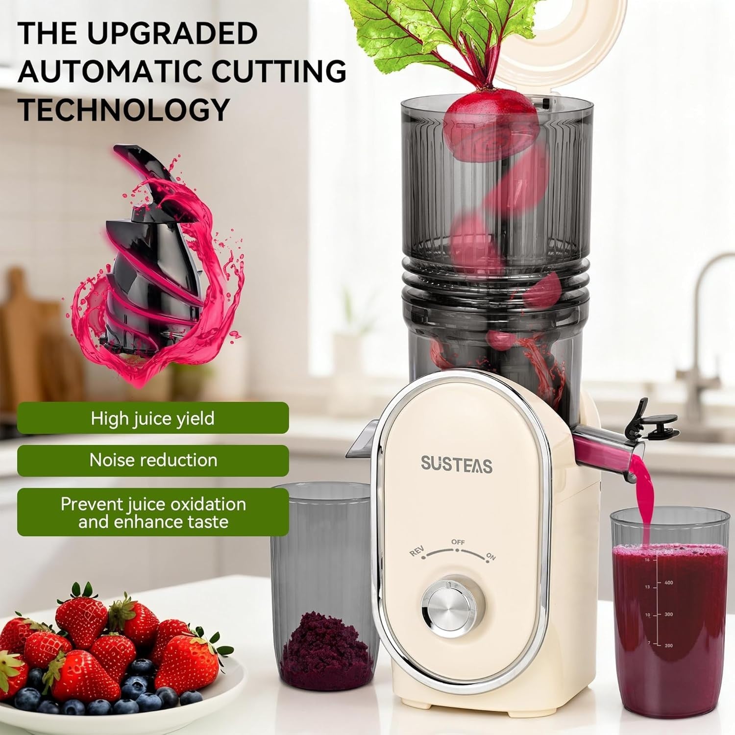 Cold Press Juicer 300W 133mm Wide Feed Chute Whole Fruit High Yield