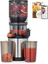 Cold Press Juicer 160mm Wide Chute Slow Masticating Juice Extractor 2L