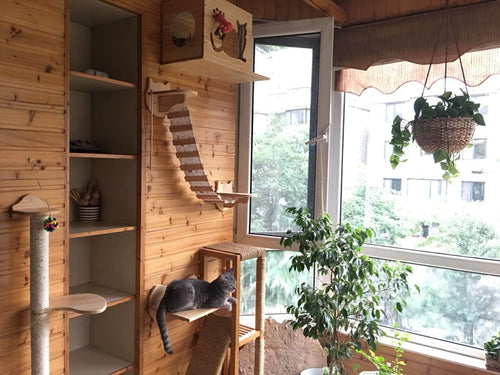 Wall Mounted Cat Climbing Shelves Wooden Perch Steps Space Saving Natural Wood