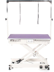 Electric Dog Grooming Table Height Adjustable Hydraulic Salon Table with Power
