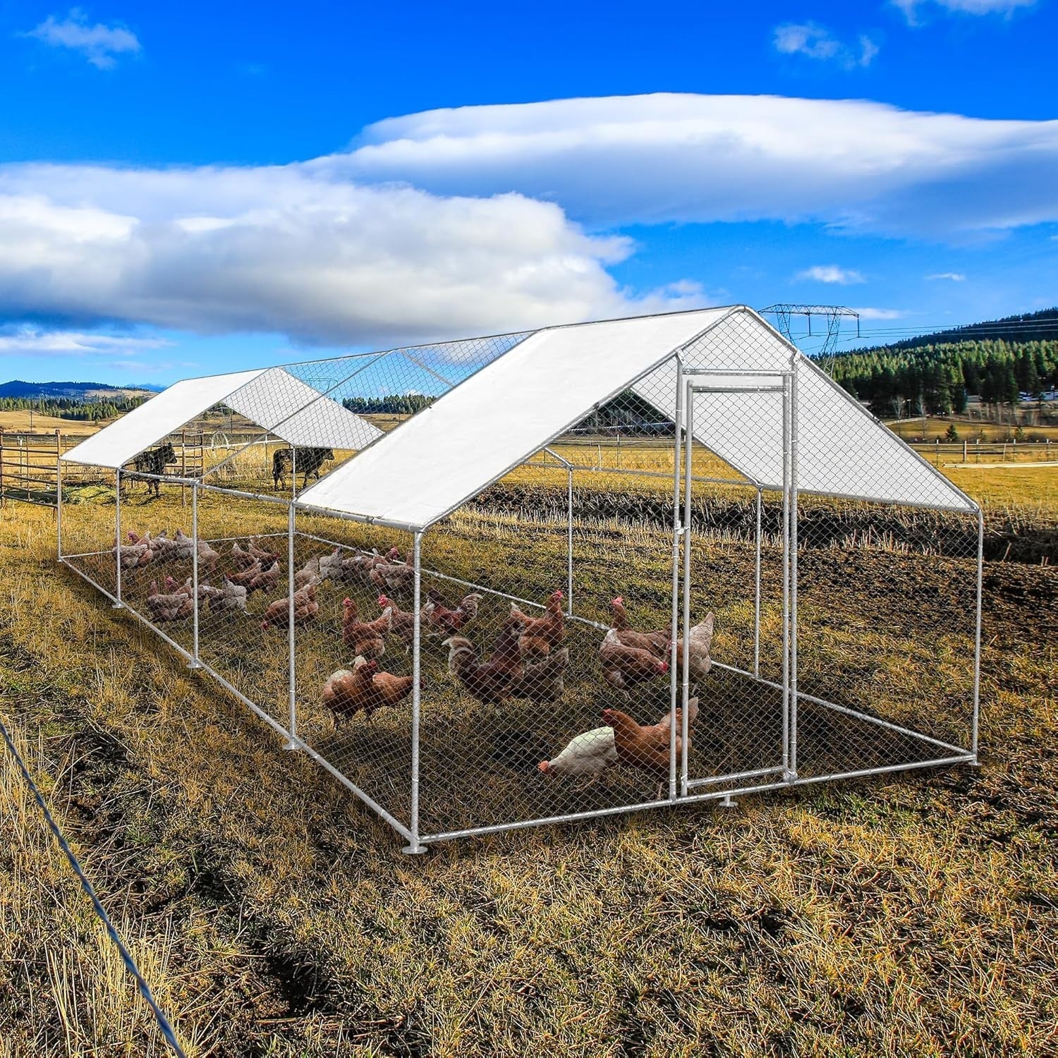 Walk In Chicken Run 8x3x2m Galvanised Steel Coop Pen Cover