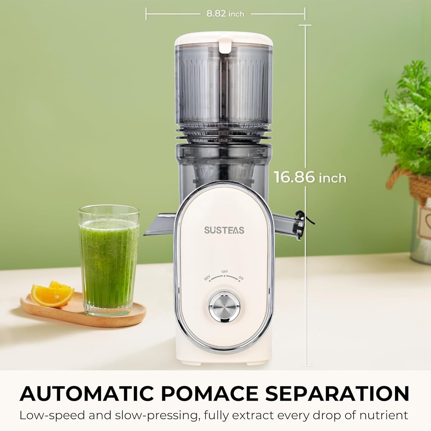 Cold Press Juicer 133mm Large Feed Chute Whole Fruit Slow Masticating 300W