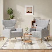 Gray Velvet Recliner 2-Piece Armchair Set with Gold Legs Lounge Chairs