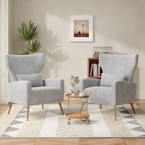 Gray Velvet Recliner 2-Piece Armchair Set with Gold Legs Lounge Chairs