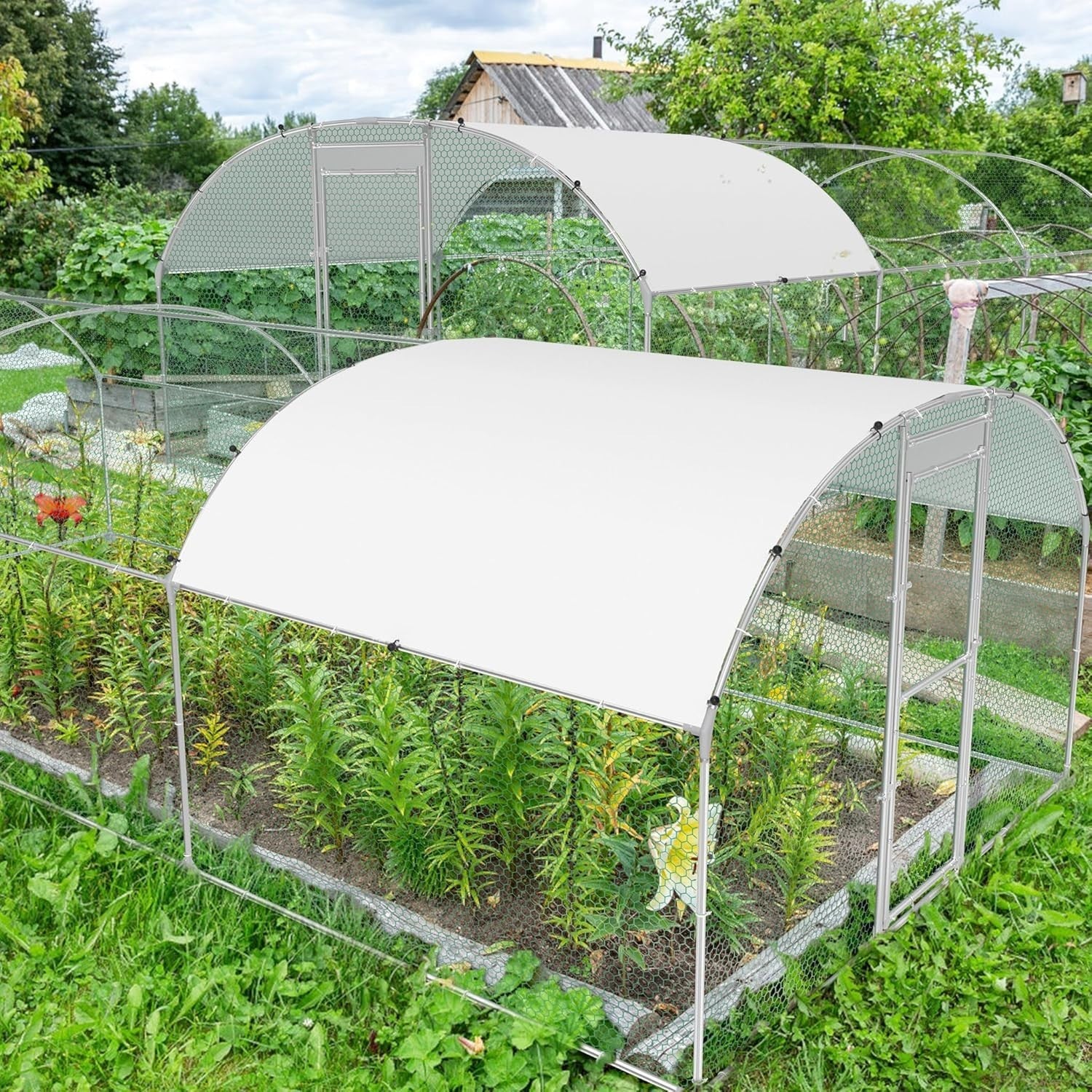 Extra Long Walk In Chicken Run Galvanised Steel Outdoor Enclosure 6x3x1.85m