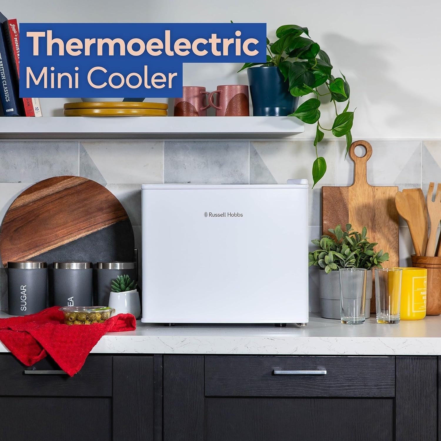 17L Mini Cooler Portable Thermoelectric Compact Fridge Manual Temp White