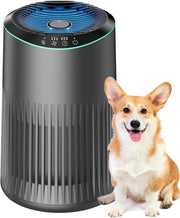 Small Air Purifier for Home Smoke Pet Odors 22dB Sleep Mode Grey