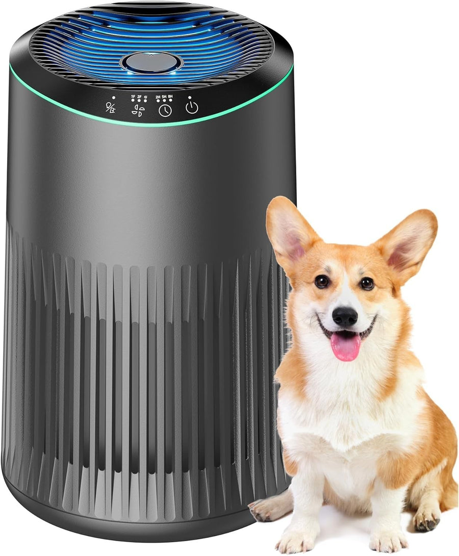 Small Air Purifier for Home Smoke Pet Odors 22dB Sleep Mode Grey