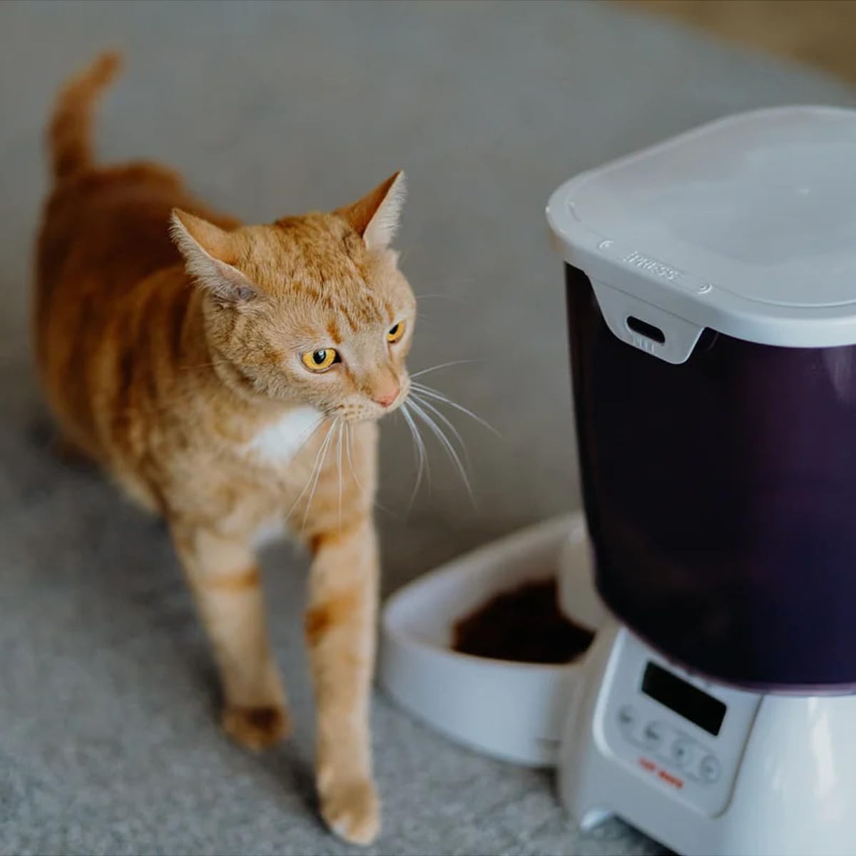 Automatic Cat Dog Feeder 3kg Timed Food Dispenser LCD Portion Control
