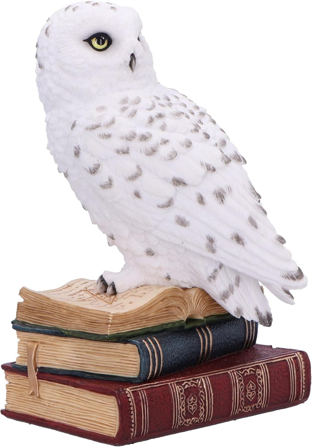 White Owl Figurine on Books 17cm Resin Sculpture Decor Wise Animal