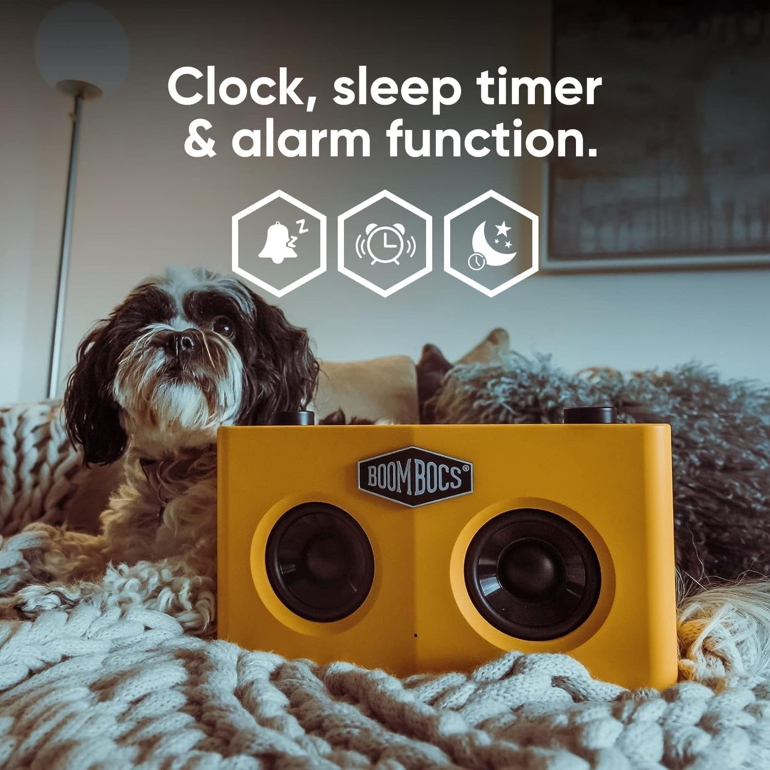 WiFi Internet Radio Bluetooth Speaker Portable FM Alarm 15H Battery