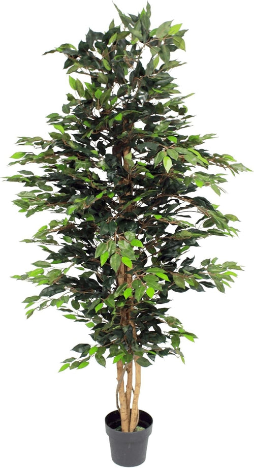 6ft Ficus Tree in Weighted Pot Faux Realistic Green Indoor Home Decoration