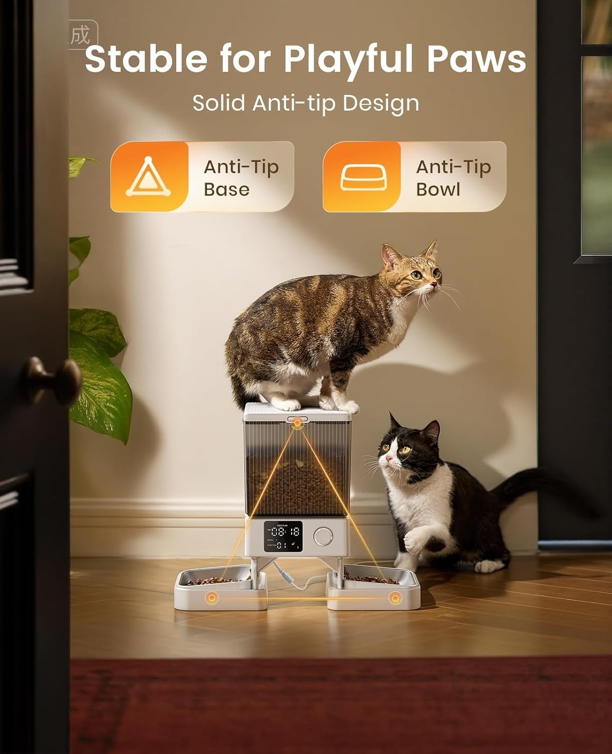 Dual Cat Feeder 5L Timed Food Dispenser Portion Control 2 Bowl