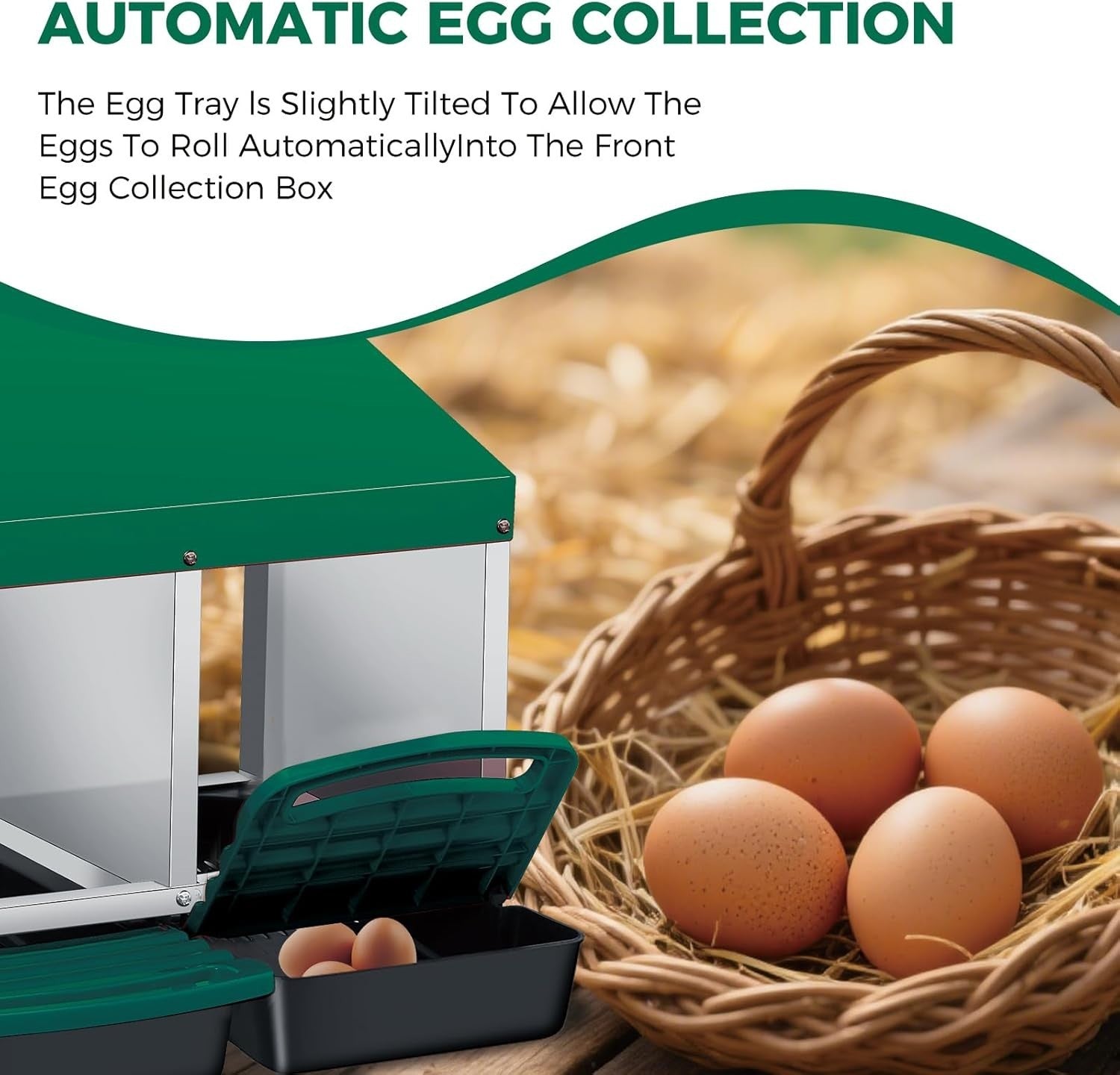 Metal Chicken Nesting Box 4 Compartment Pull Out Egg Tray