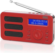 Portable DAB/DAB+/FM Digital Radio with Alarm, Rechargeable & AUX Output