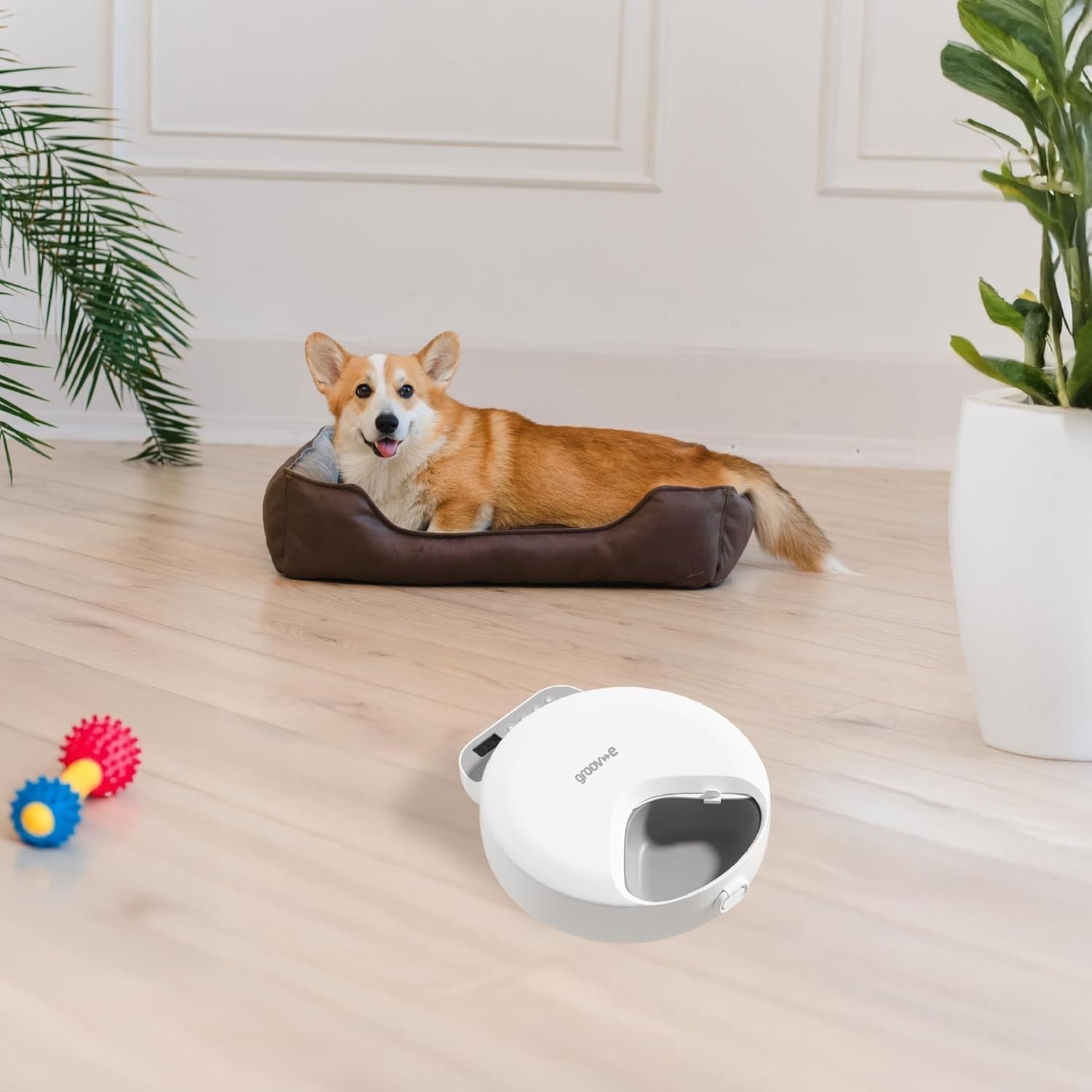 Automatic Wet Food Pet Feeder Timer 4 Meal Ice Pack Cat Dog Feeder