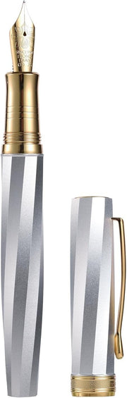 Luxury Metal Fountain Pen Fine Gold Nib Silver Twill Gift Case Set