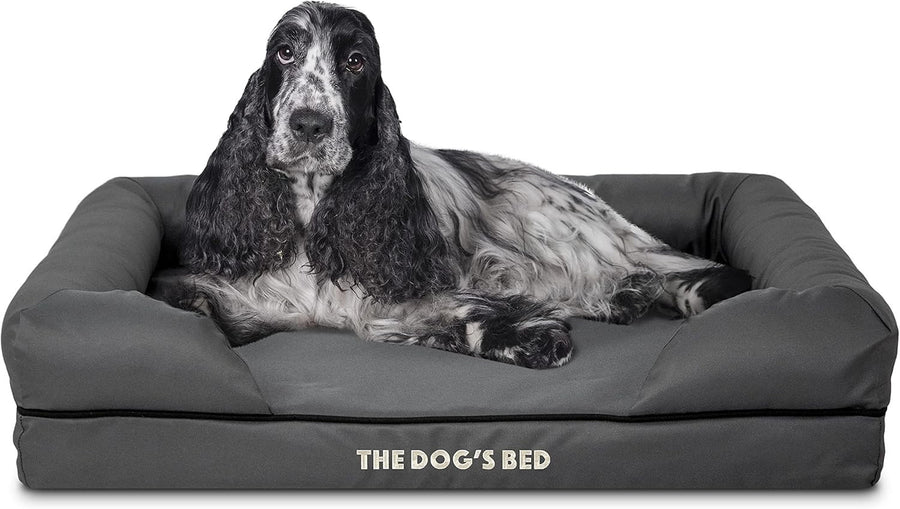 Medium Orthopedic Memory Foam Dog Bed Washable Bolster