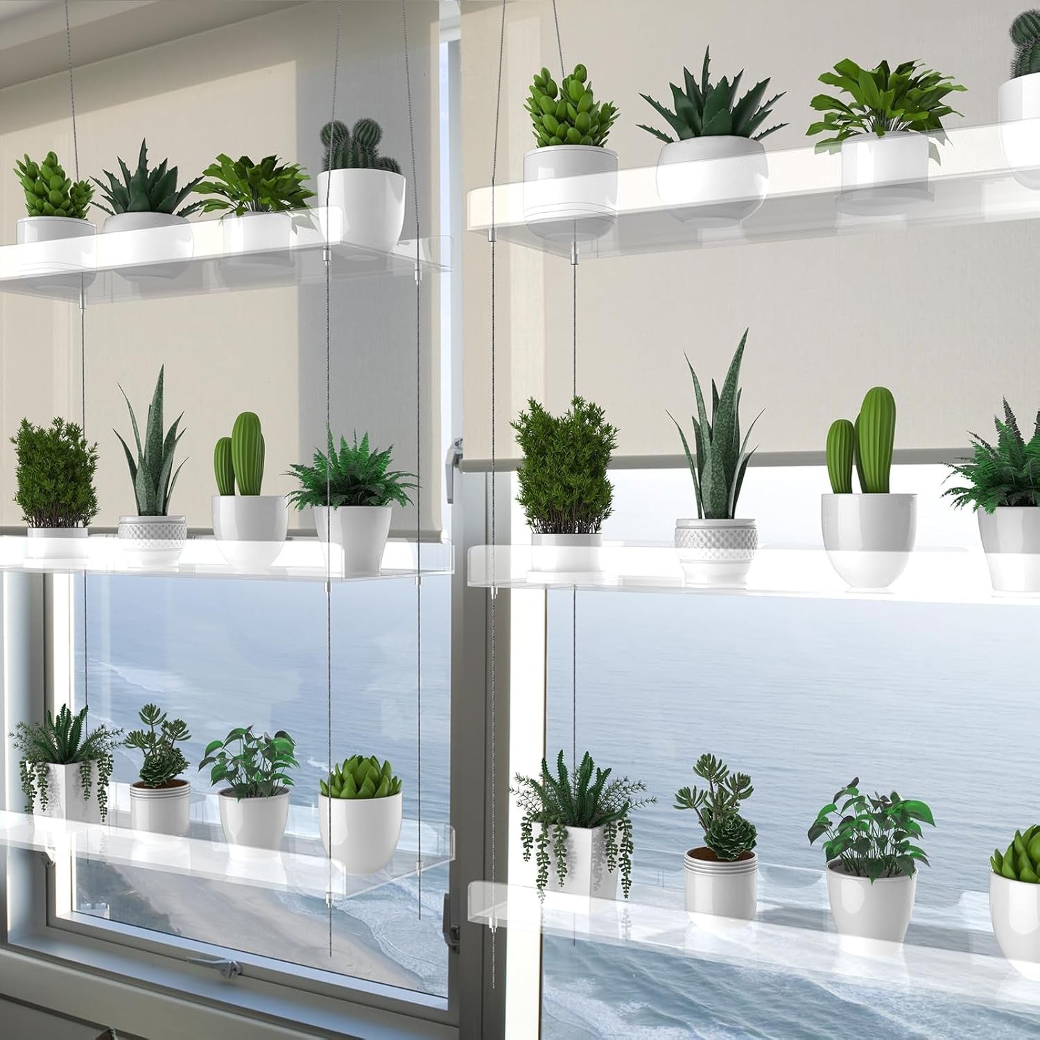 3 Tier Hanging Clear Acrylic Plant Shelf Window Garden Display for Indoor Plants