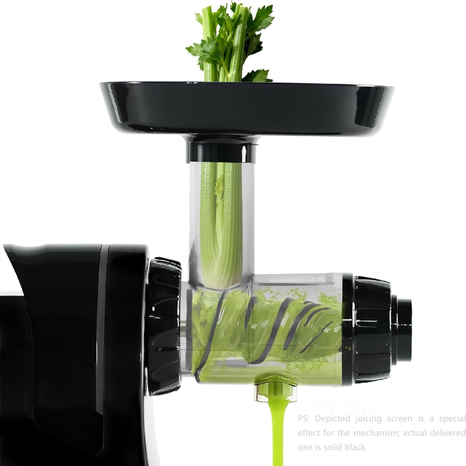 Cold Press Juicer Slow Masticating BPA Free High Yield Quiet Touch