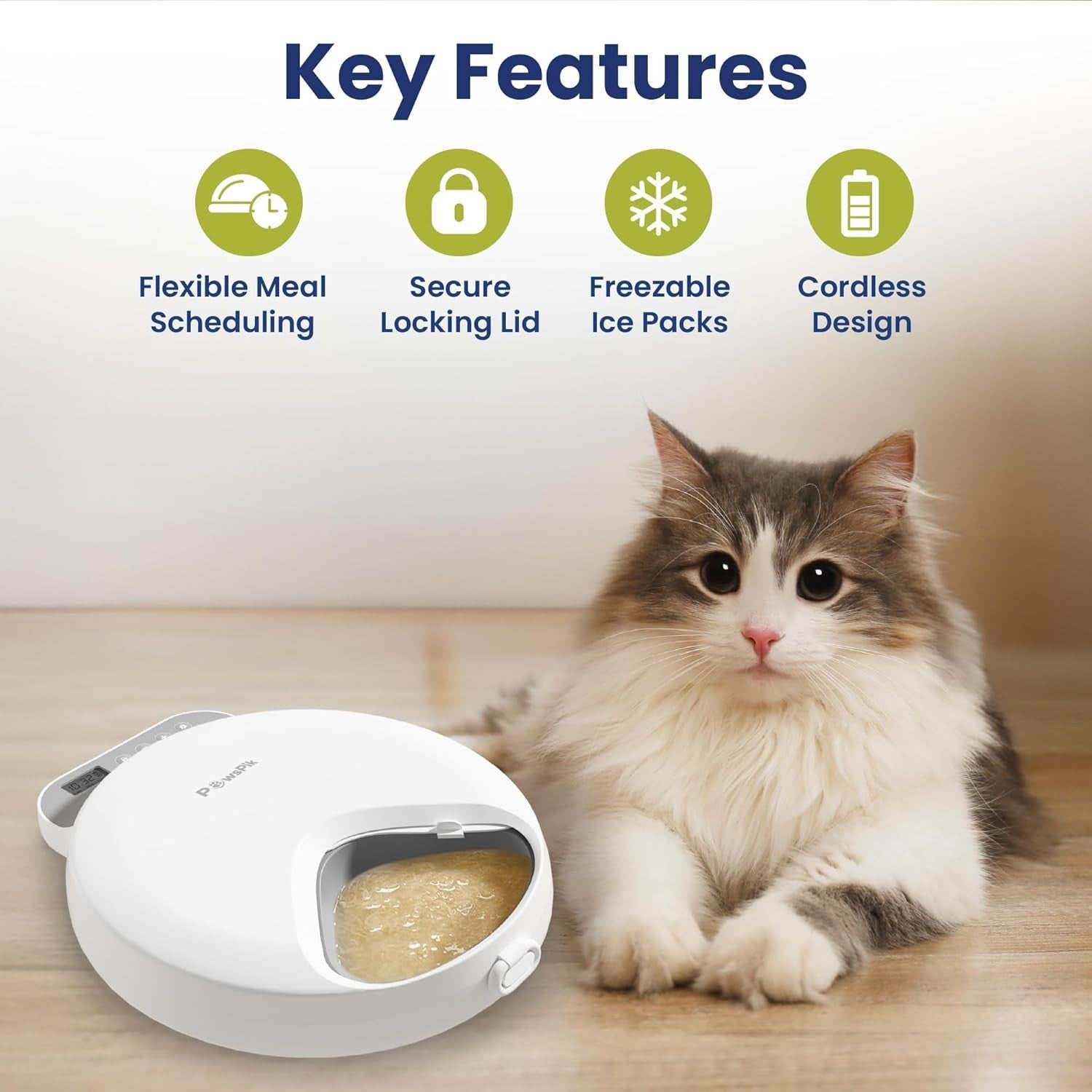 Automatic Pet Feeder 4 Meal Timer Wet Dry Food Dispenser Ice Packs LCD
