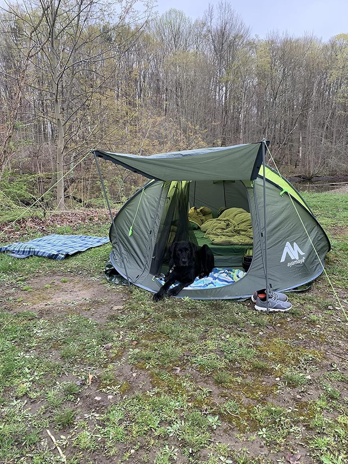 4-6 Person Instant Pop Up Camping Tent Waterproof 5 Window