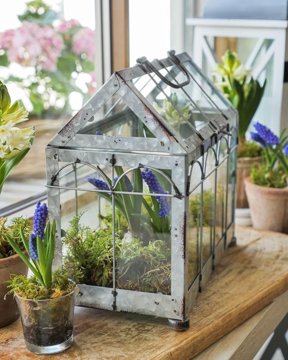 Small Iron & Glass Greenhouse with Lockable Lid and Carry Handle 29x15x26cm