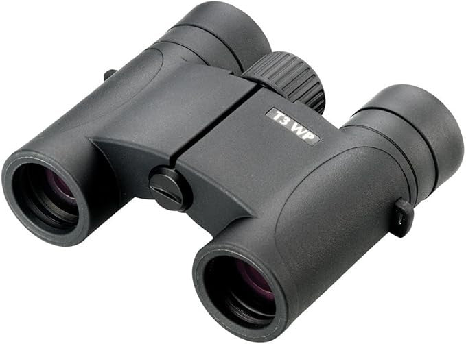 10x25 Compact Binoculars Lightweight Waterproof HD Optics Travel Outdoor Black