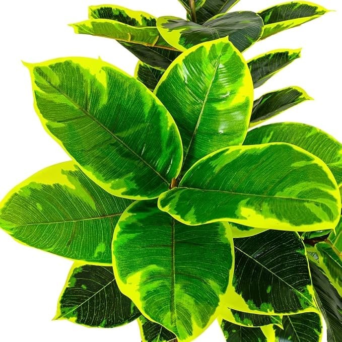 5FT 150cm Artificial Ficus Fiddle Fig Tree Tall Indoor Outdoor Home Decoration
