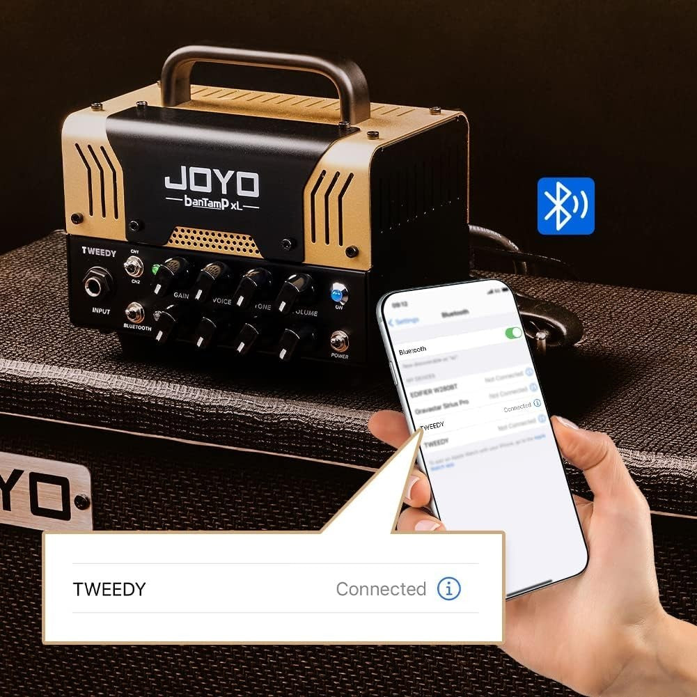 20W Hybrid Tube Guitar Amp Head 2-Channel Bluetooth FX Loop