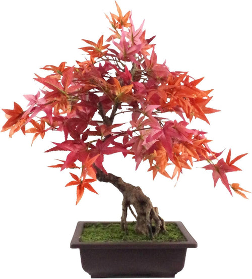 50cm Artificial Red Maple Bonsai Tree in Decorative Pot Home Office Display