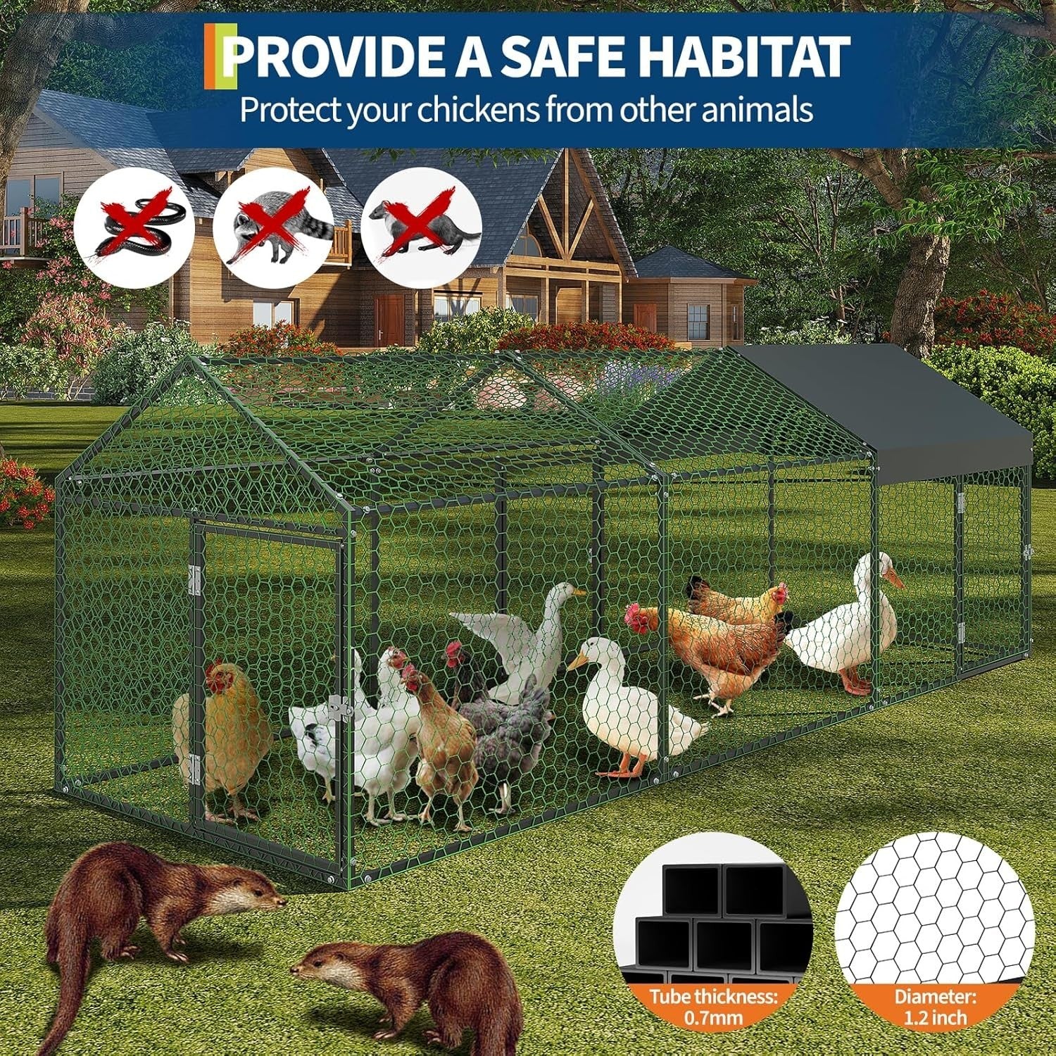 3m Walk In Chicken Run Galvanised Steel Coop 8-15 Hens