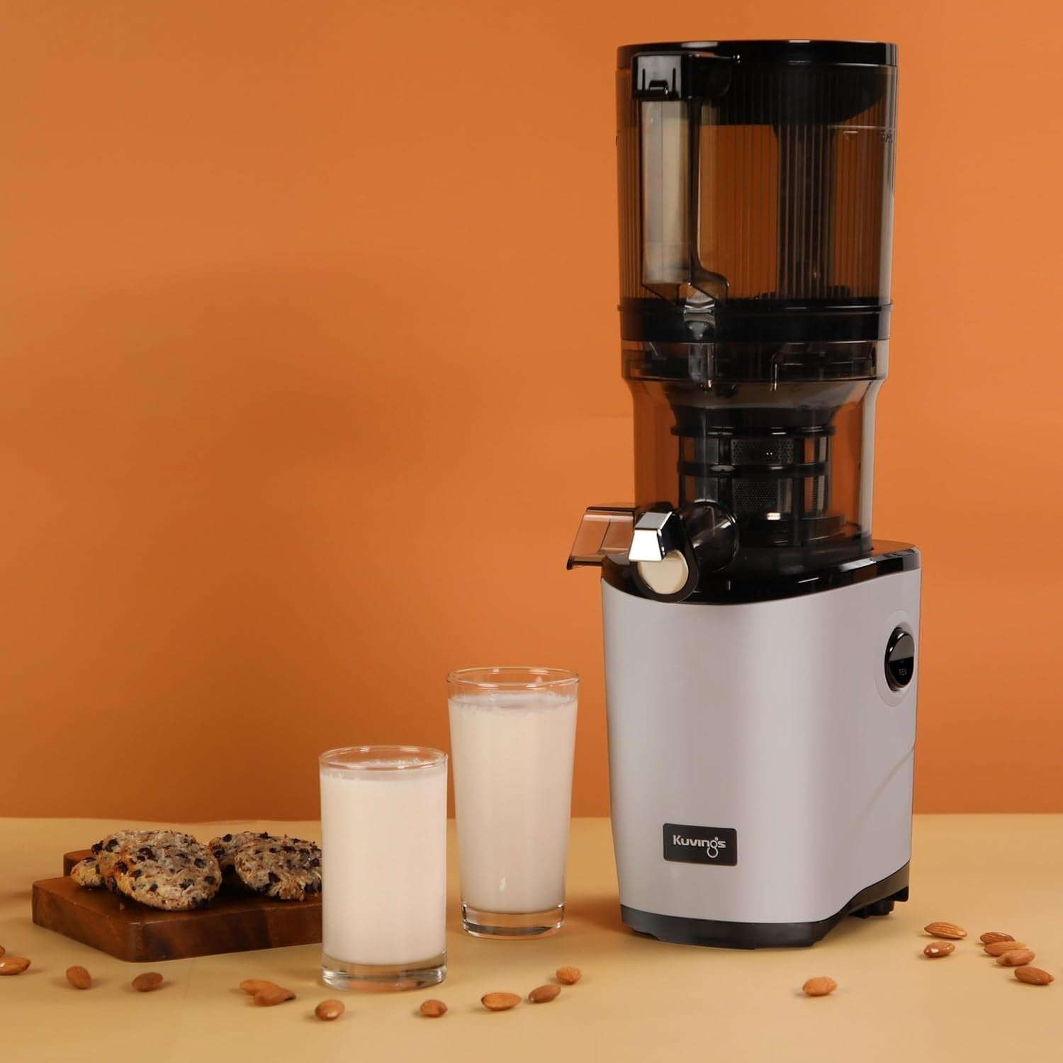 Auto Feed Slow Juicer 2L Hopper Cold Press Quiet Motor Silver