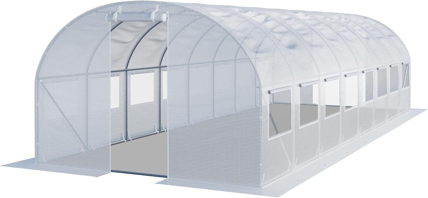 Large 3×8m Polytunnel Greenhouse with Windows | Heavy Duty Steel Frame