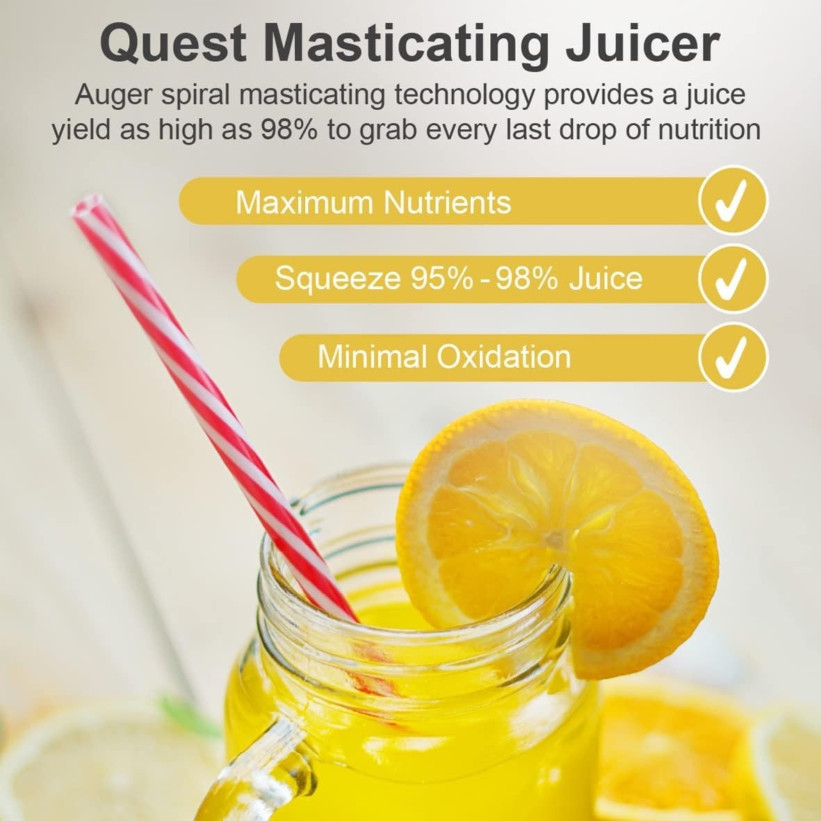 Quiet Cold Press Slow Juicer Masticating 150W High Nutrition Low Noise