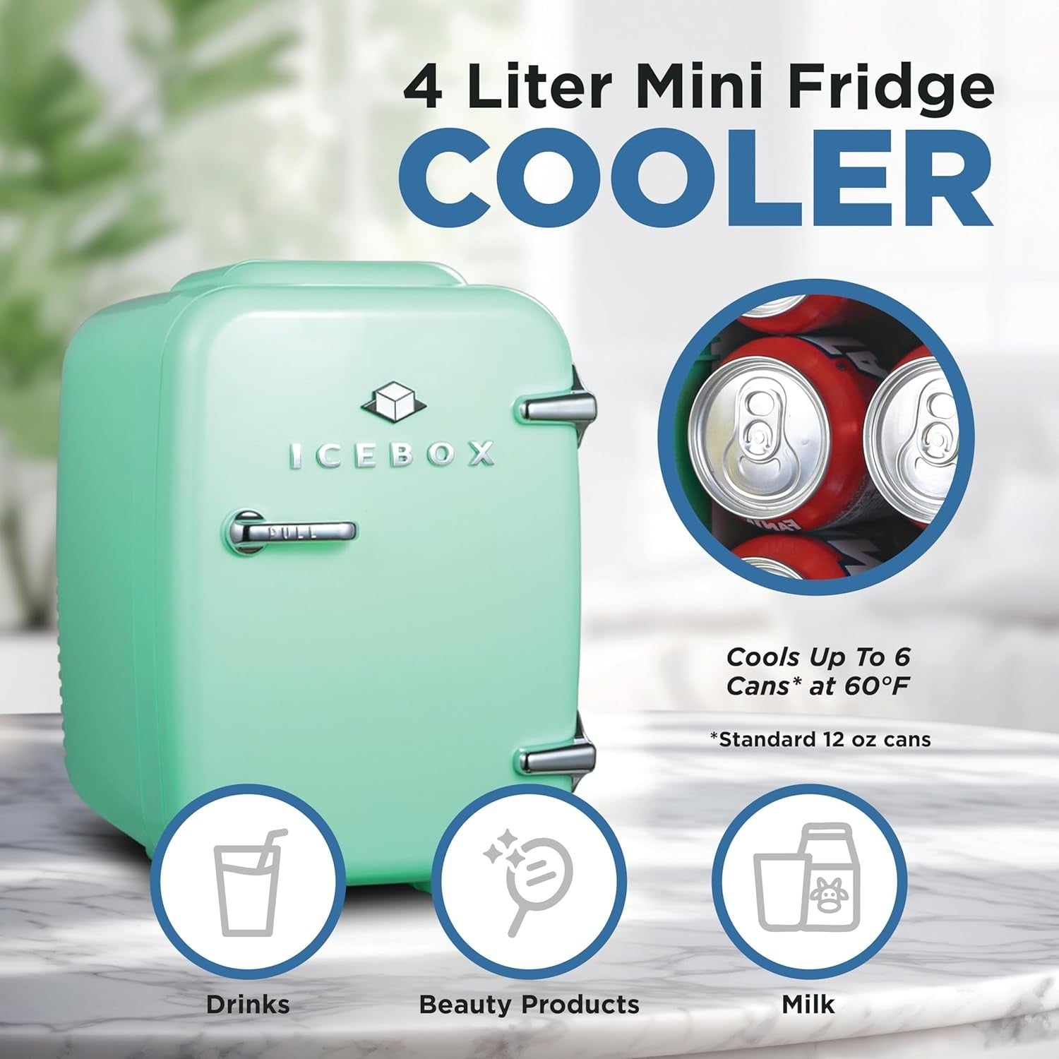 4L Mini Fridge Mint Green Portable Cooler Warmer AC/DC Use
