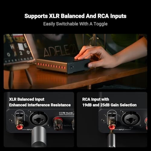 V3 Mono 2-Pack HiFi Power Amplifier 240W Class-D RCA XLR Balanced 48V