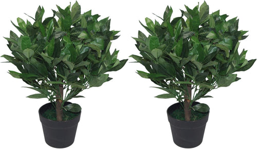 Pair of 50cm Bay Topiary Ball Trees Artificial Realistic Indoor Outdoor Decor