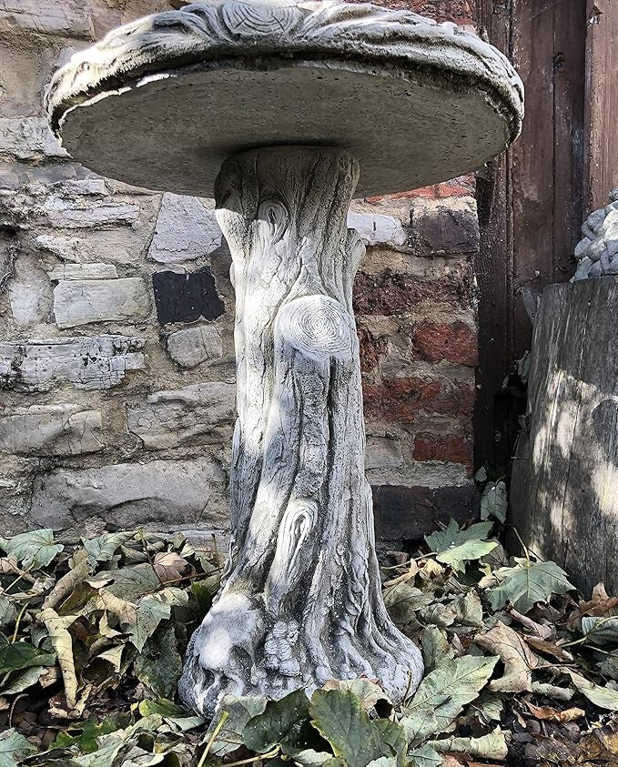 Solid Concrete Bird Bath – Tree Stump Base Heavy Garden Ornament Outdoor Feeder