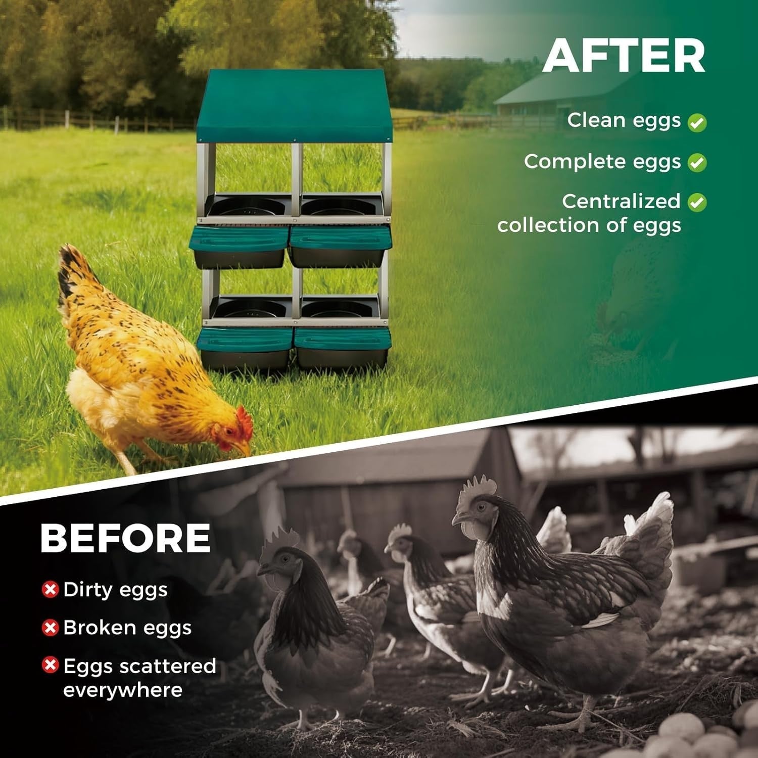 2 Tier 4 Chamber Metal Chicken Nesting Box Pull Out Tray